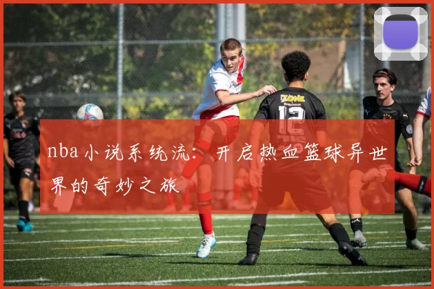 nba小说系统流:开启热血篮球异世界的奇妙之旅
