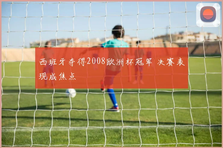 西班牙夺得2008欧洲杯冠军 决赛表现成焦点