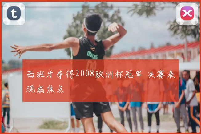 西班牙夺得2008欧洲杯冠军 决赛表现成焦点